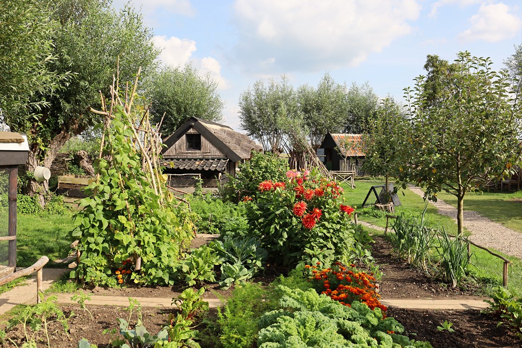 kinderdijk molen molens erfgoed hdr alblasserwaard werelderfgoed polder gemaal gemalen unesco lichtspektakel